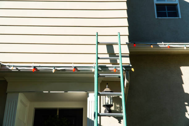 Affordable Siding Repair and Maintenance Services in North Branch, MN